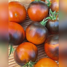 Tomate "Blaue Ananas" - BIO-Tomatensorte [samenfest]