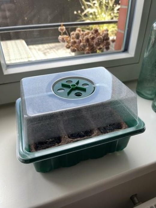 Microgreens Anzuchtschalen 25,4x30,5cm - Sprossen Set Mit Deckel | BPA-frei & Wiederverwendbar
