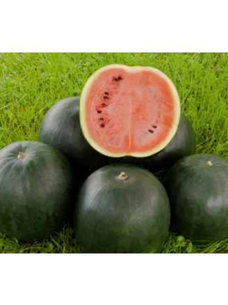 Wassermelone „Sugar Baby“ - BIO Melonensamen