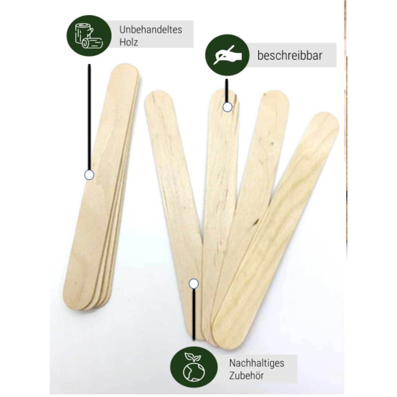 Pflanzenschilder "Buchenholz" - Kräuterstecker zum beschriften