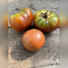 Tomate „Black Krim“ - BIO-Tomatensorte [samenfest]