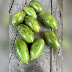 Tomate "Green Sausage" - BIO-Tomatensorte [samenfest]