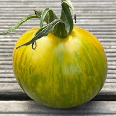 Tomate "Green Zebra" - BIO-Tomatensorte [samenfest]
