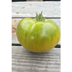 Tomate "Smaragdapfel" - BIO-Tomatensorte [samenfest]