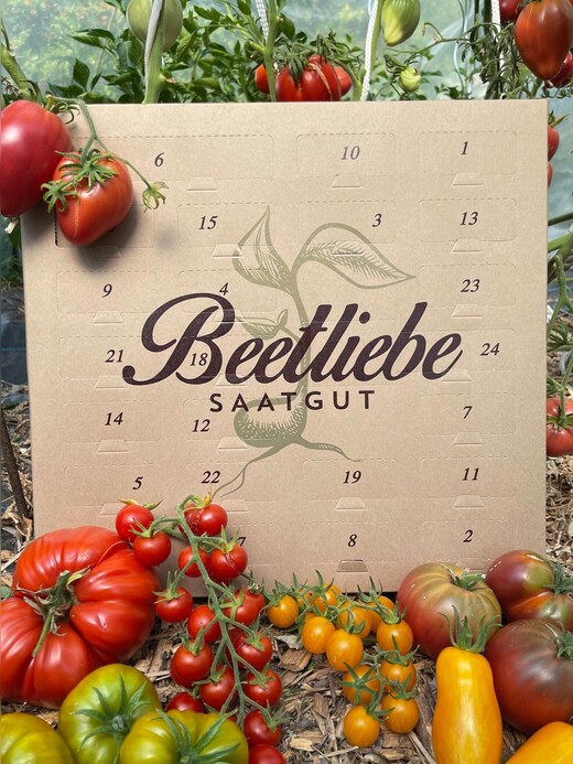 BIO-Tomatensamen Adventskalender alte & seltene Tomaten [samenfest]