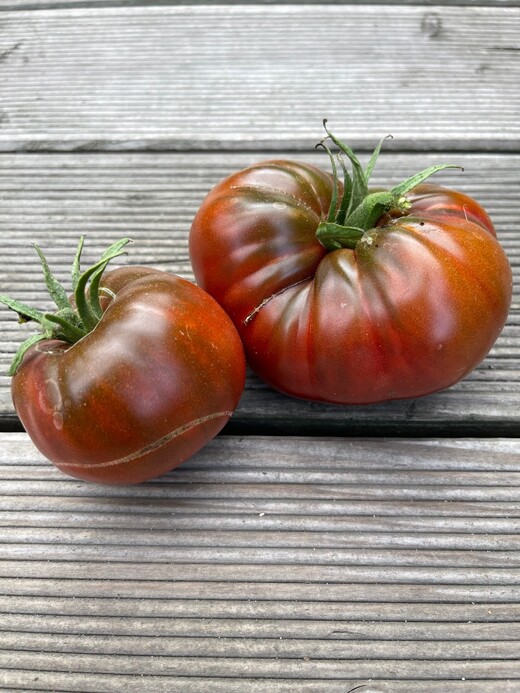 Tomate "Tschernij Prinz" - BIO-Tomatensorte [samenfest]