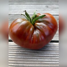 Tomate "Tschernij Prinz" - BIO-Tomatensorte [samenfest]