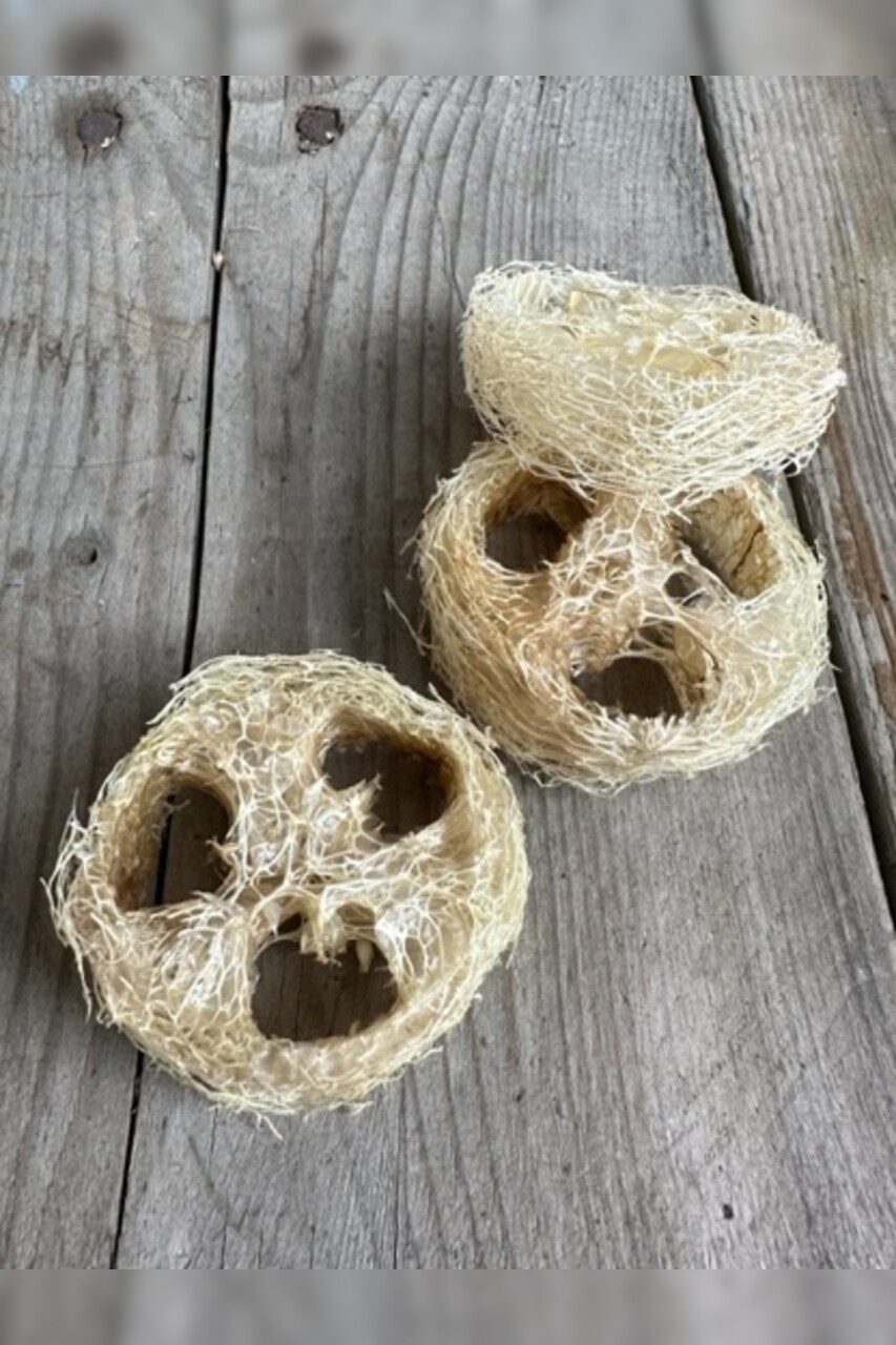 Luffa Seifenkissen (Naturschwamm)