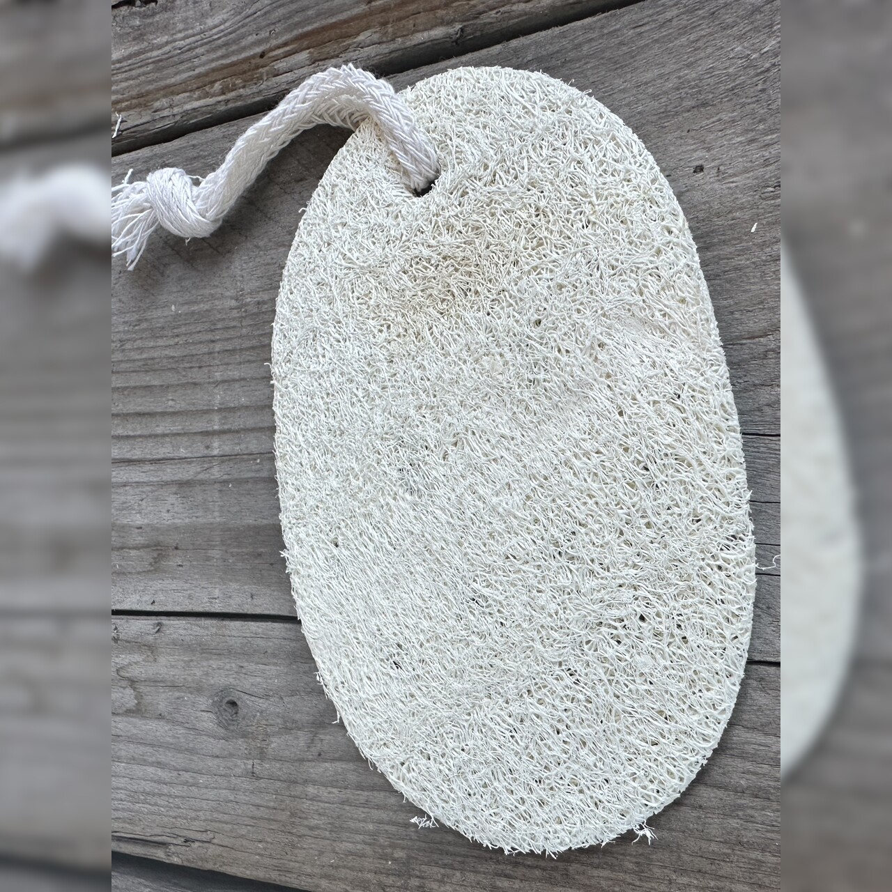 Luffa Schwamm Spülschwamm - plastikfreier Naturschwamm 1 Stck.