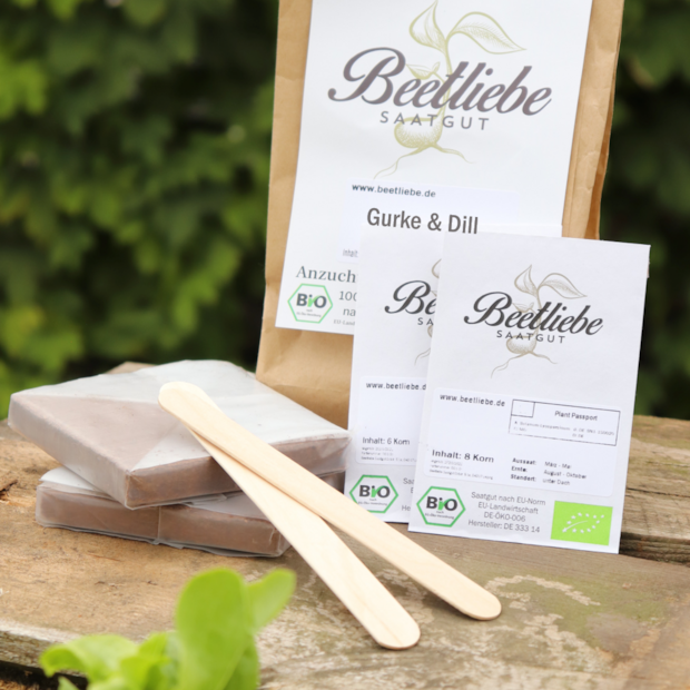 Anzucht-Set "Gurke & Dill" [samenfest]