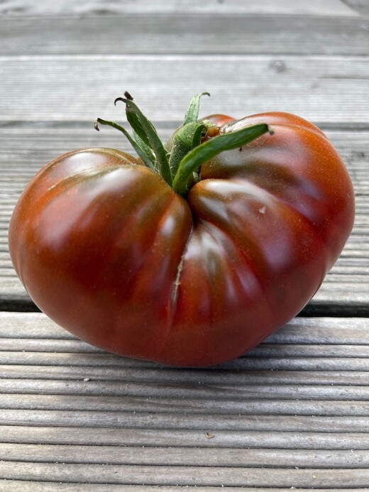 großes Tomaten-Set - 12 BIO-Tomatensorten [samenfest]