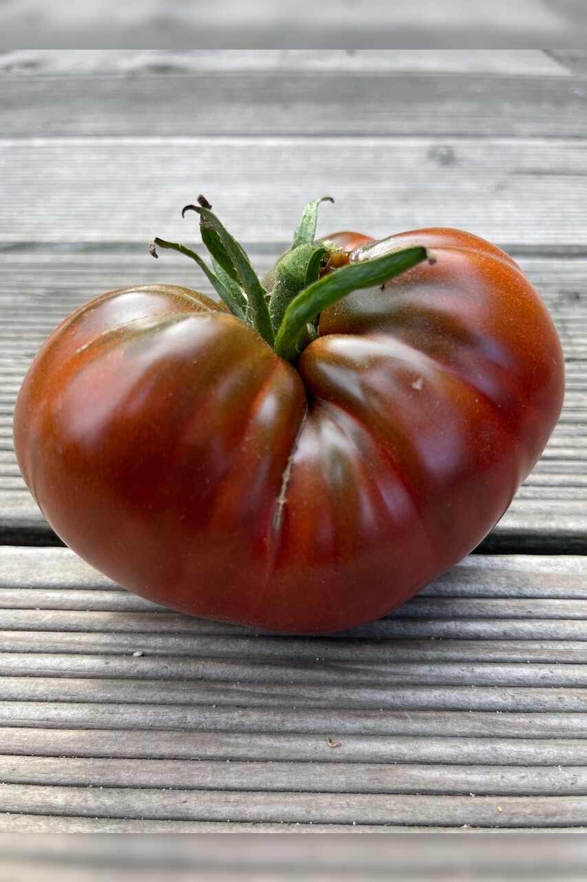 großes Tomaten-Set - 12 BIO-Tomatensorten [samenfest]