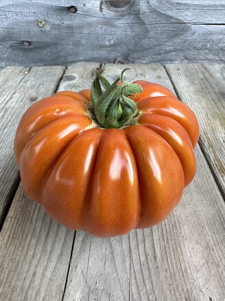 Tomate "Fleur de Reagir" - BIO-Tomatensorte [samenfest]