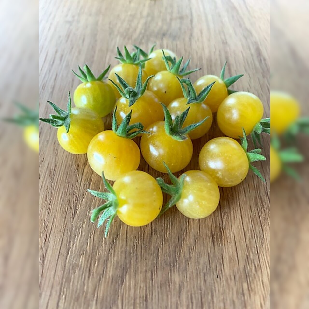 Tomate "Bianca" - BIO-Tomatensorte [samenfest]