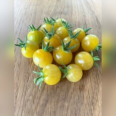 Tomate "Bianca" - BIO-Tomatensorte [samenfest]
