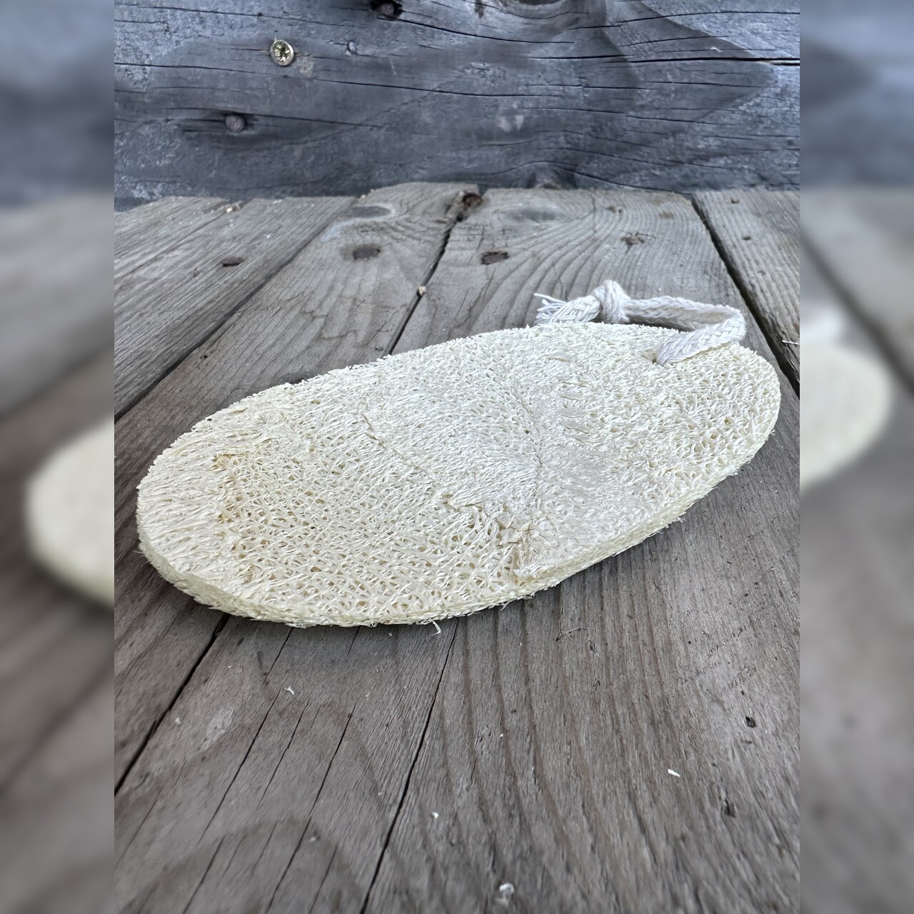 Luffa Schwamm Spülschwamm - plastikfreier Naturschwamm 1 Stck.