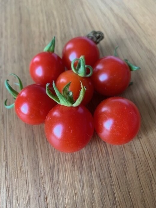 Tomate "Dicks Cherry" - BIO-Tomatensorte [samenfest]