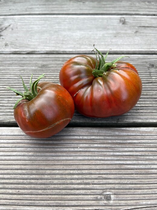 Tomate "Tschernij Prinz" - BIO-Tomatensorte [samenfest]