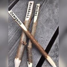 Pflanzenschilder "Haselnuss" - Pflanzenstecker zum beschriften