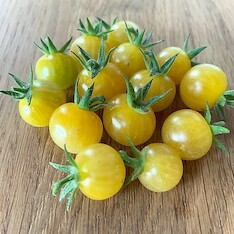 Tomate "Bianca" - BIO-Tomatensorte [samenfest]