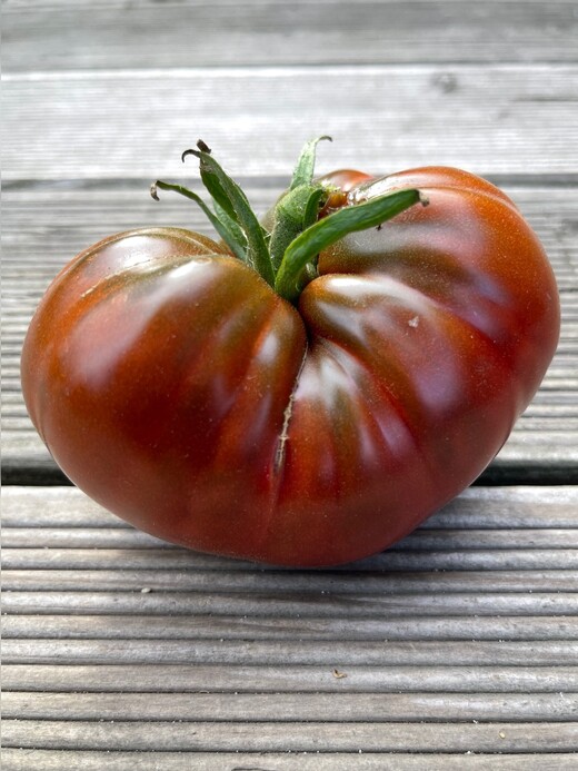 Tomaten-Set "Ochsenherztomaten" - 4 BIO-Sorten [samenfest]