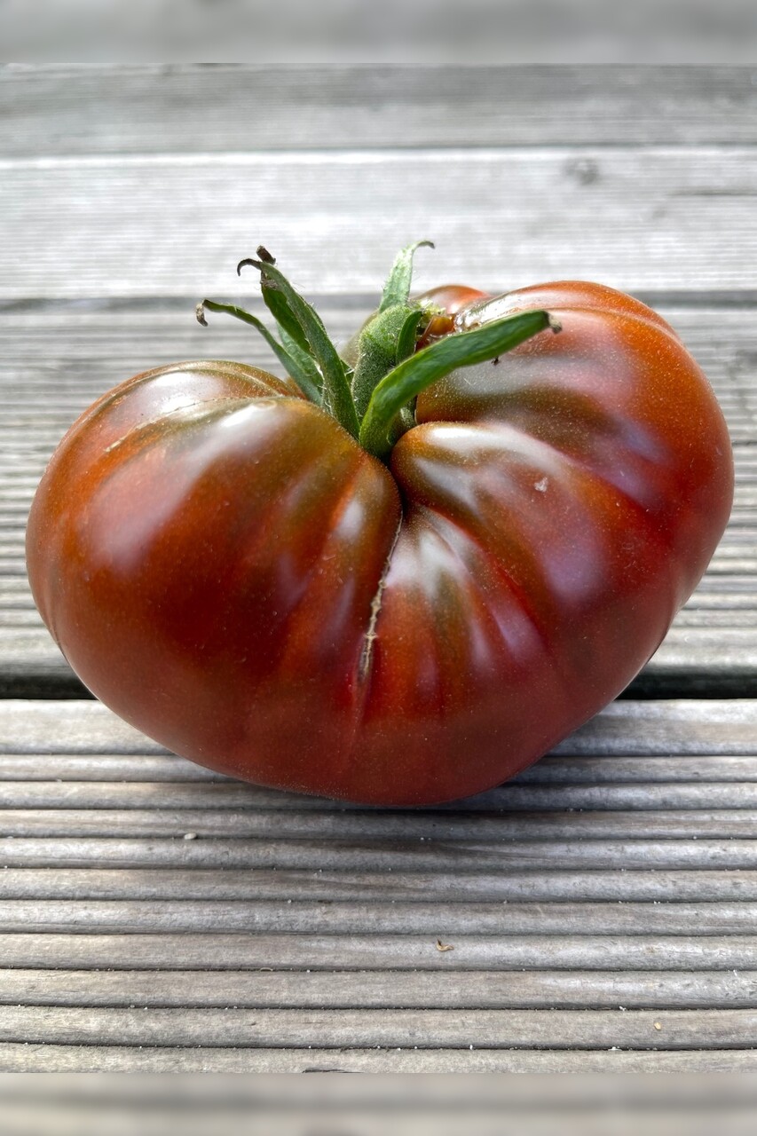 Tomaten-Set "Ochsenherztomaten" - 4 BIO-Sorten [samenfest]