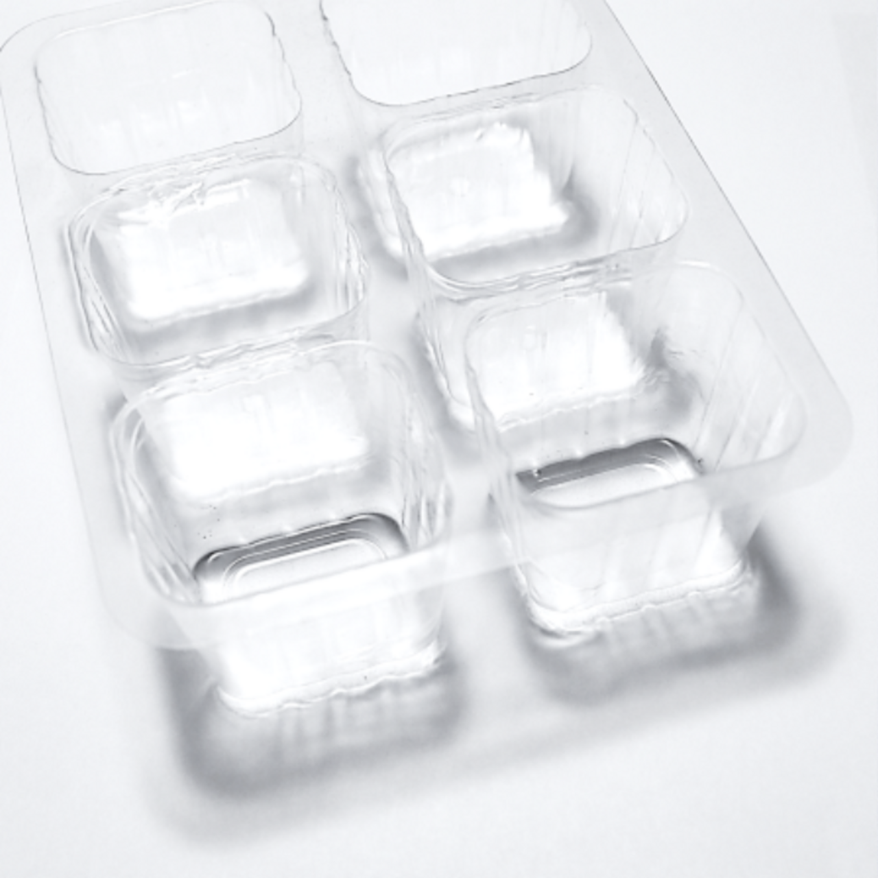 24 Anzuchttöpfe aus Plastik / Kunststoff (5x5x7 cm)