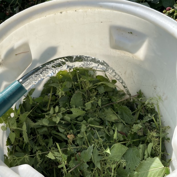 Brennesseljauche - Bio Flüssigdünger 250 ml