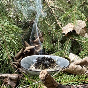 Bio Räuchermischung „Waldbaden“ 10g