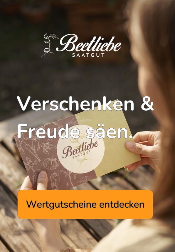 Wertgutscheine entdecken | Beetliebe