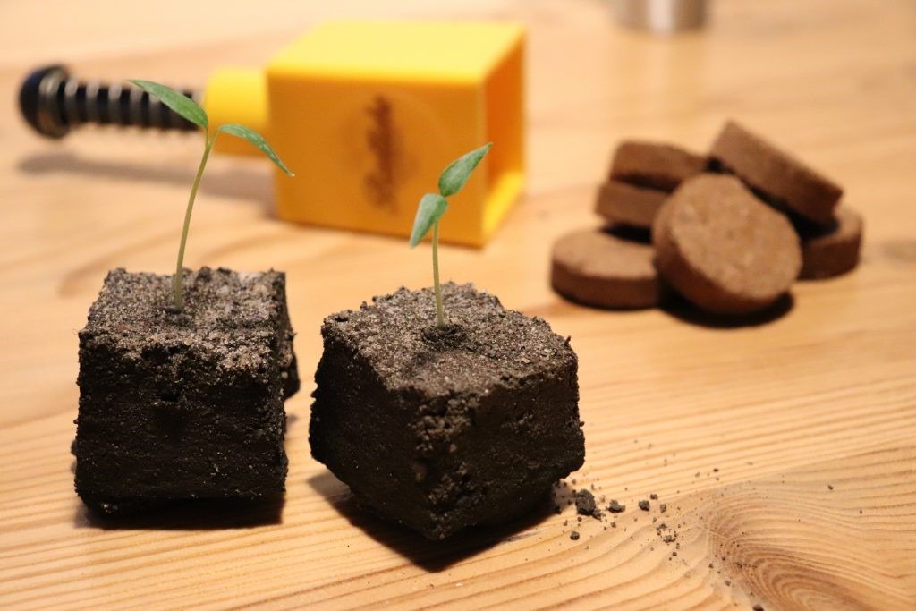 Gem&uuml;se vorziehen, was brauche ich, Beetliebe, Blog