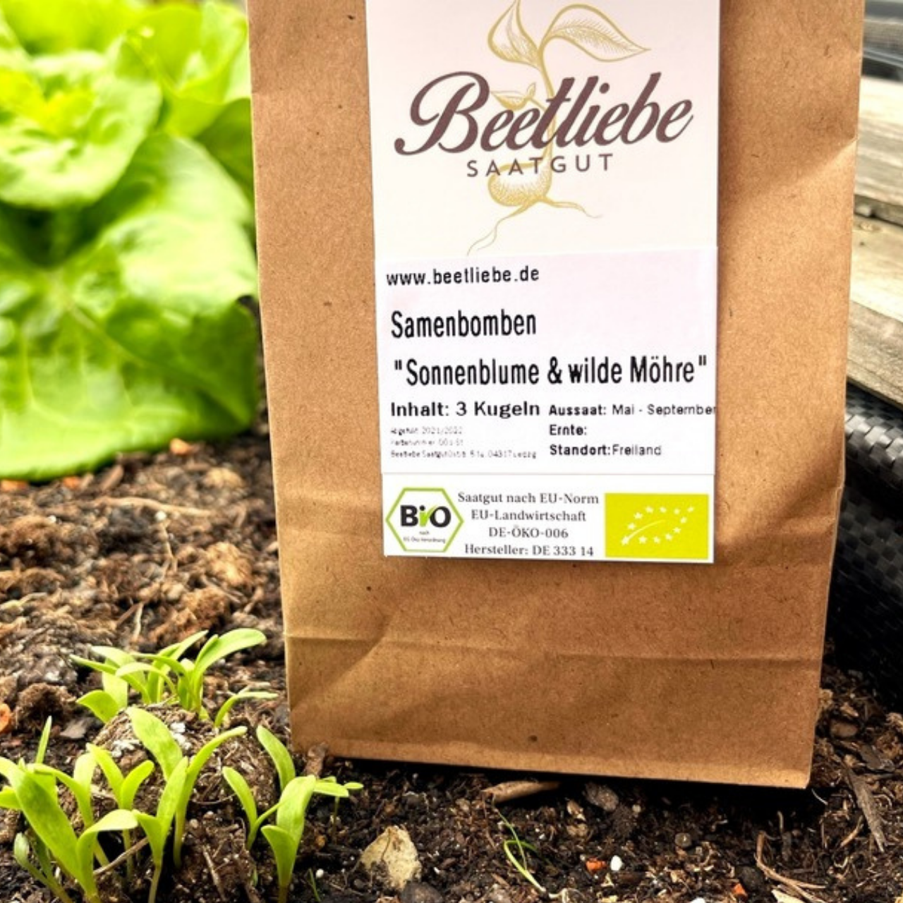 "Sonnenblume & wilde Möhre" Samenbomben mit Bio Saatgut