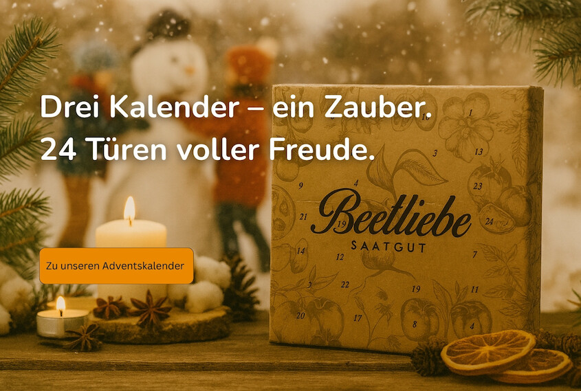 Titelbild beetliebe.de