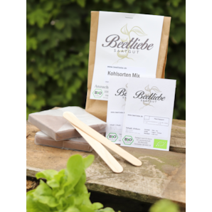 Anzucht-Set "Kohlsorten Mix" [41, 42]