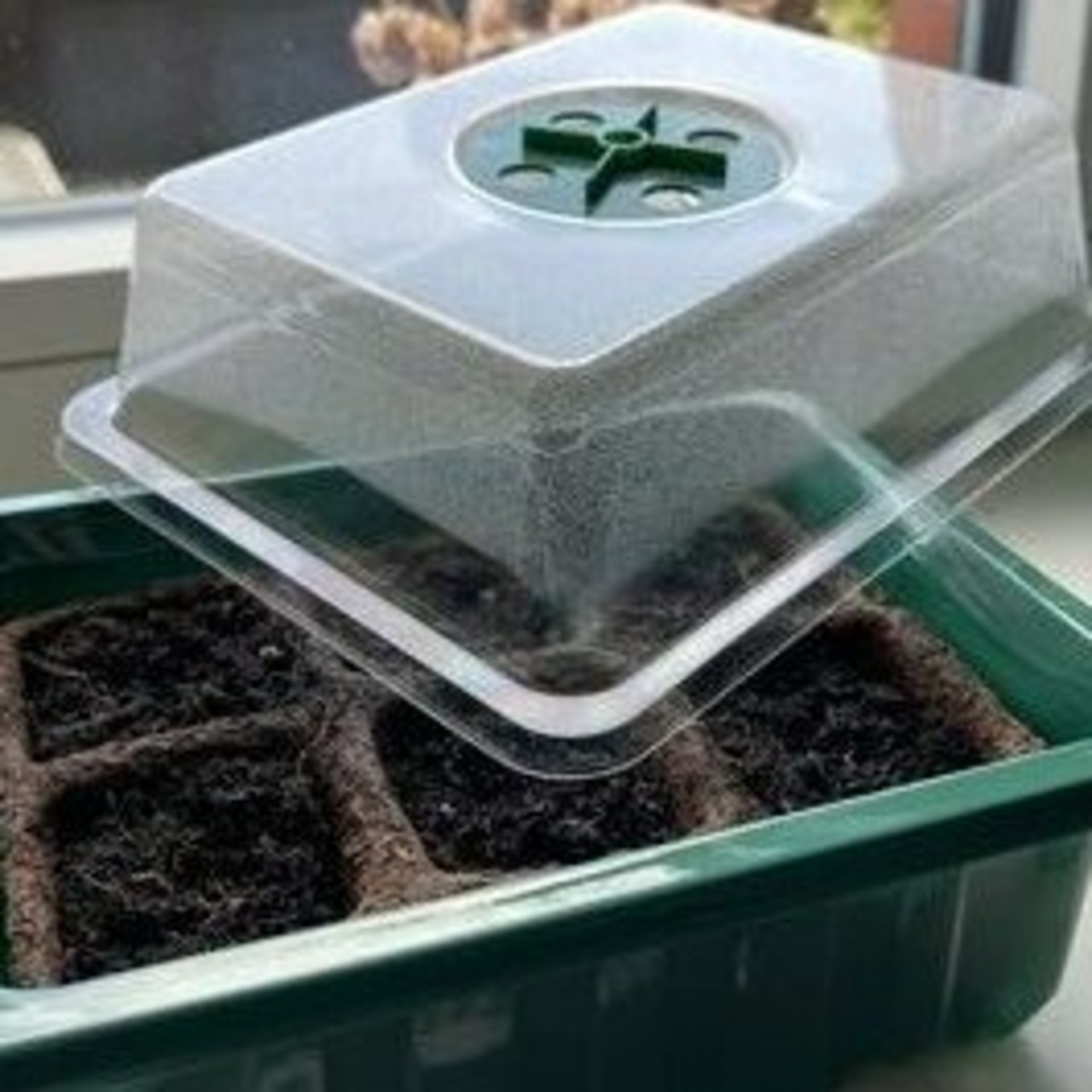 Anzuchtschale mit Deckel (Kunststoff)