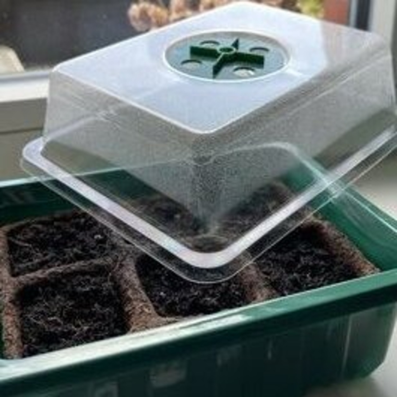 Anzuchtschale mit Deckel (Kunststoff)