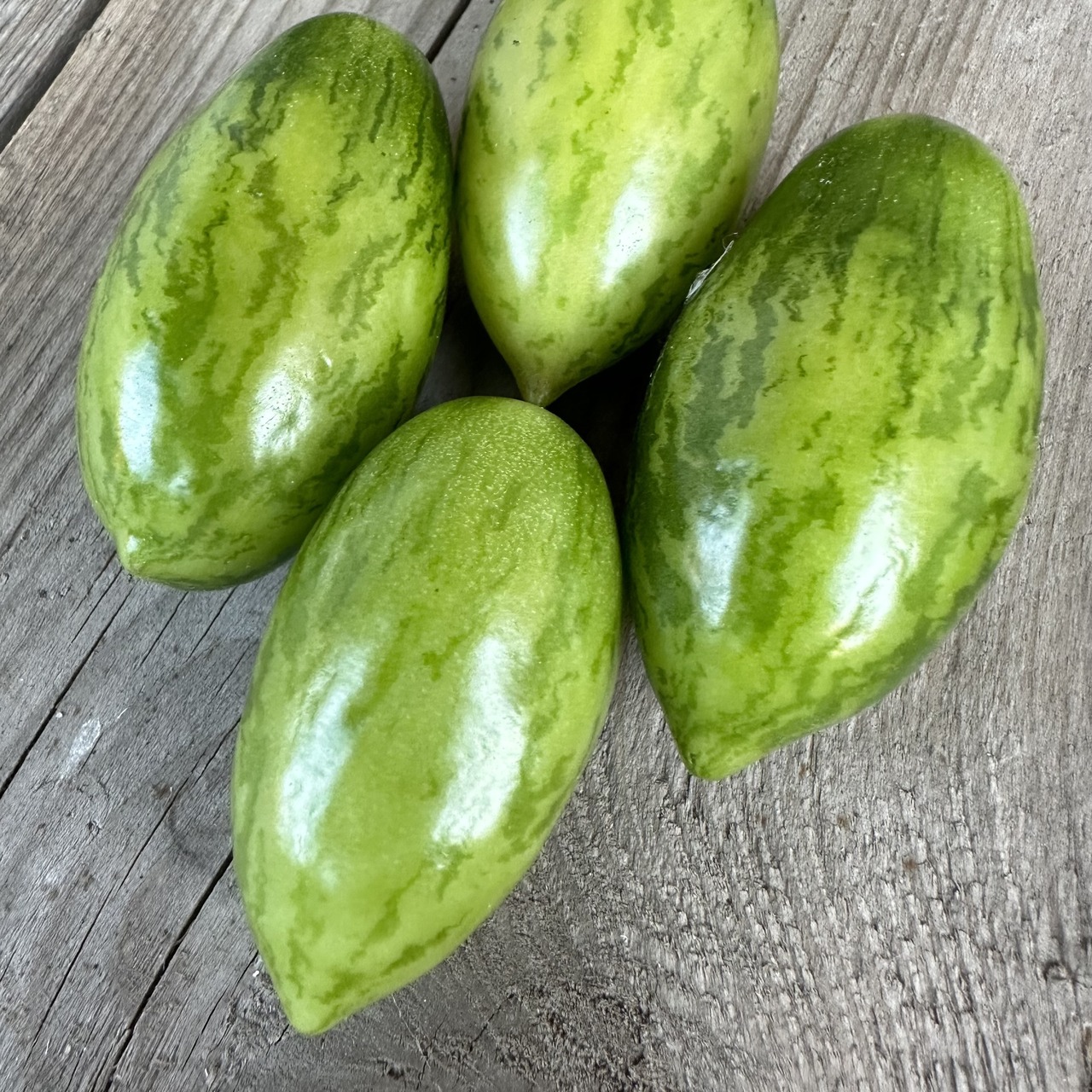 Tomate "Green Sausage" - BIO-Tomatensorte [samenfest]
