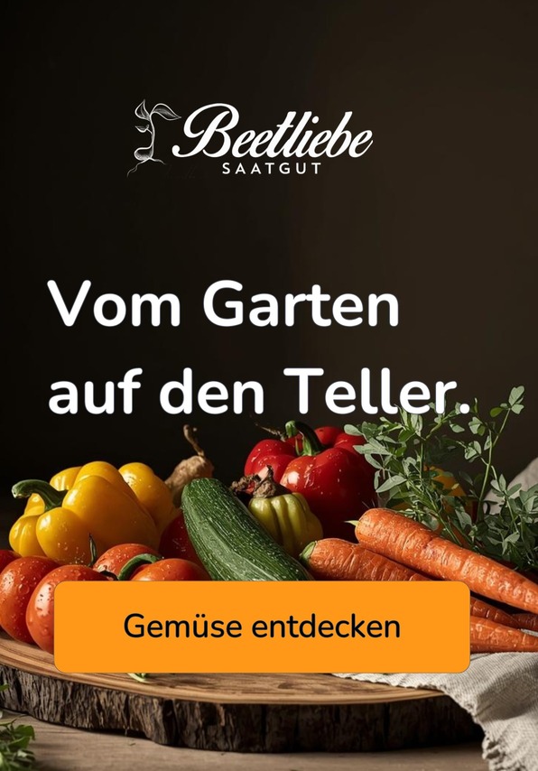 Gemüsesamen entdecken - samenfestes Saatgut | Beetliebe