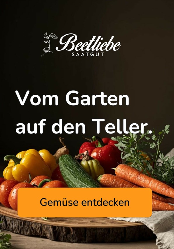 Gemüsesamen entdecken - samenfestes Saatgut | Beetliebe