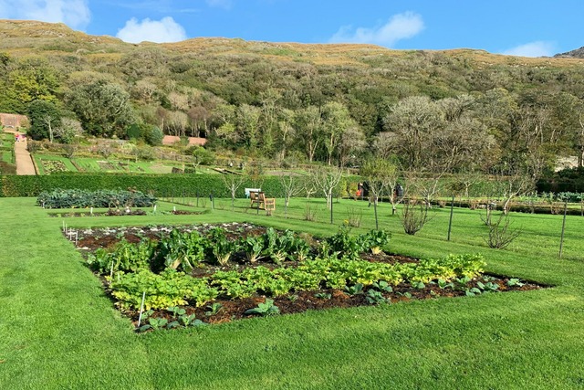 Bild von Beet vorbereiten: Anleitung für Gemüsebeet & Frühj