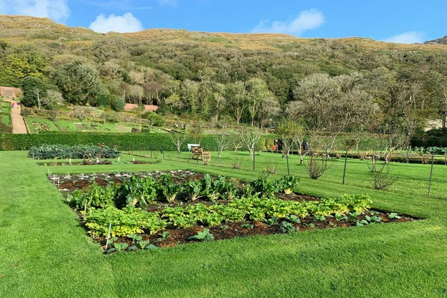 Bild von Beet vorbereiten: Anleitung für Gemüsebeet & Frühj