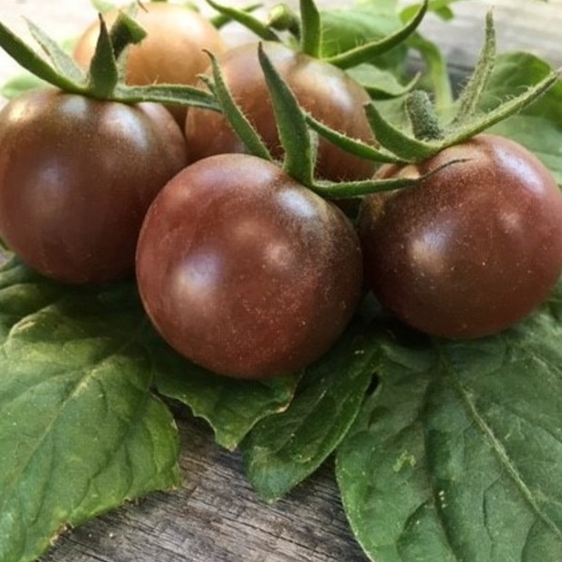 Gemüsesamen-Set "Grillgemüse" - 7 BIO-Gemüsesorten [samenfest]