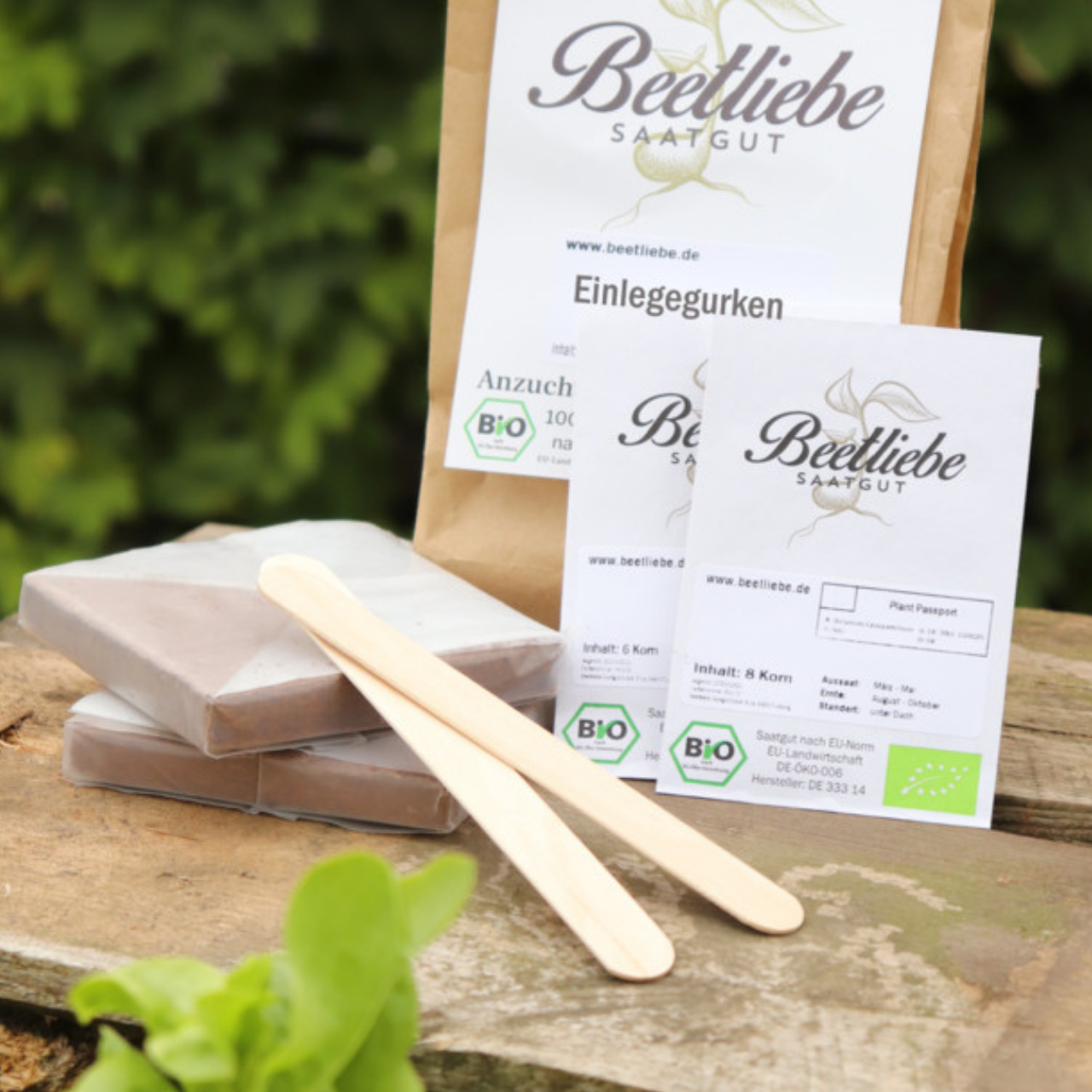 Anzucht-Set "Einlegegurken"