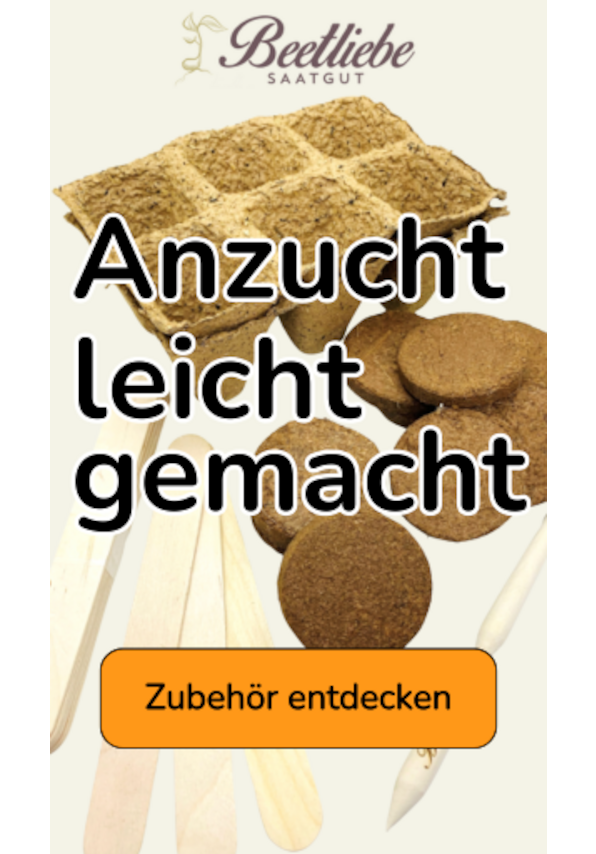Anzucht leicht gemacht mit Zubehör | Beetliebe