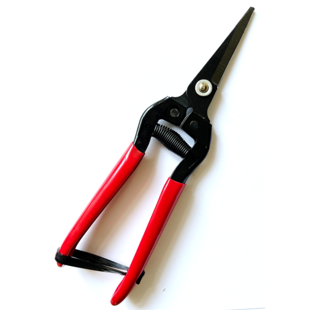 Tomatenschere zum Ausgeizen, Beschneiden & Ernten