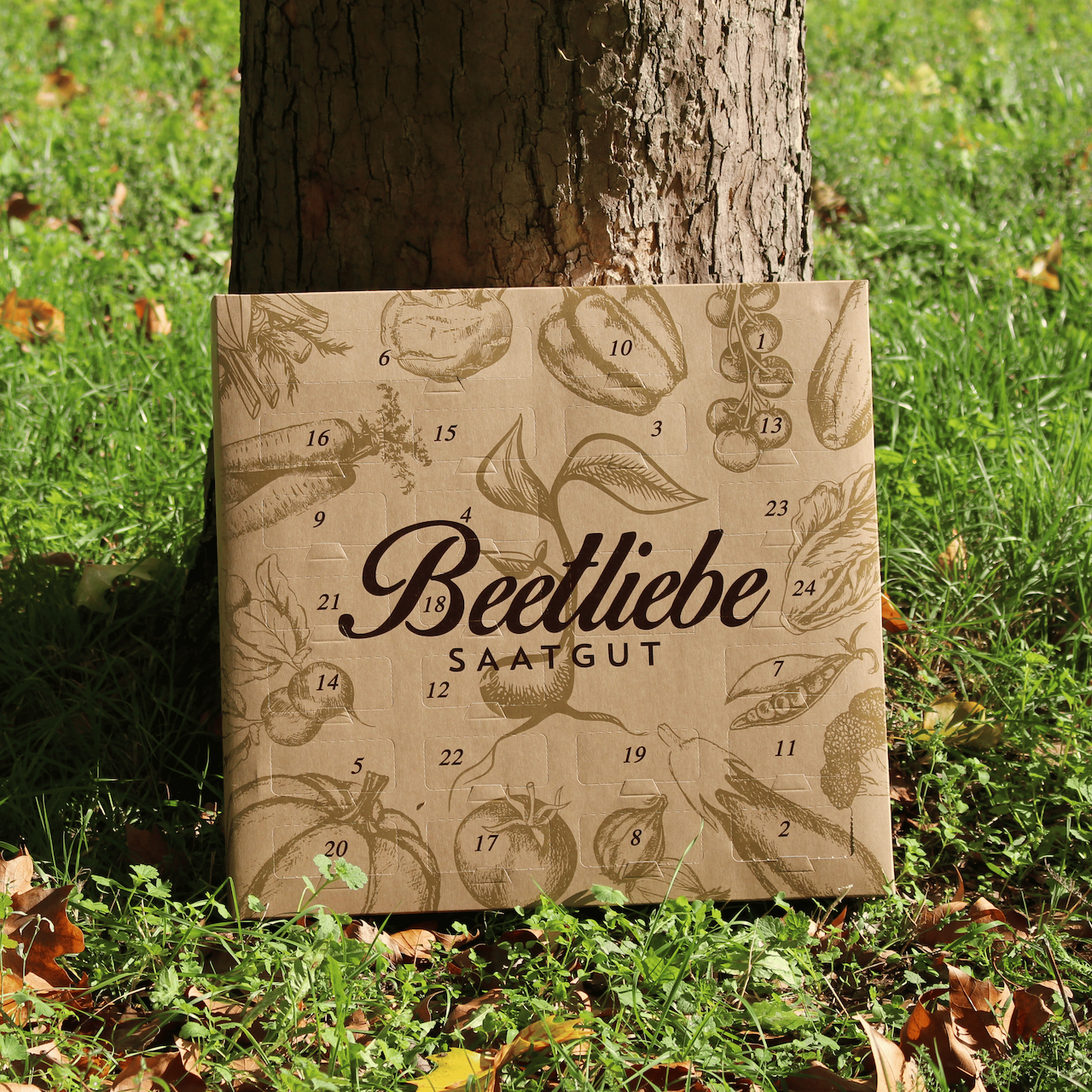 BIO Gemüsesamen Adventskalender 2025 (inkl. alter Sorten)