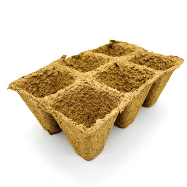 Anzuchttopf - 60 Anzuchttöpfe aus Zellulosefasern [kompostierbar]