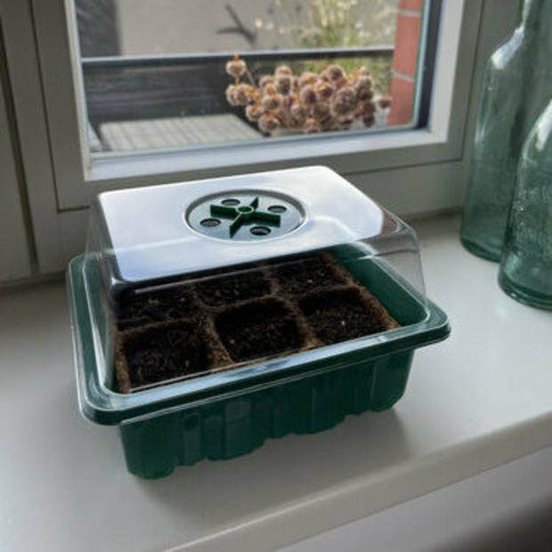 Anzuchtschale mit Deckel (Kunststoff)