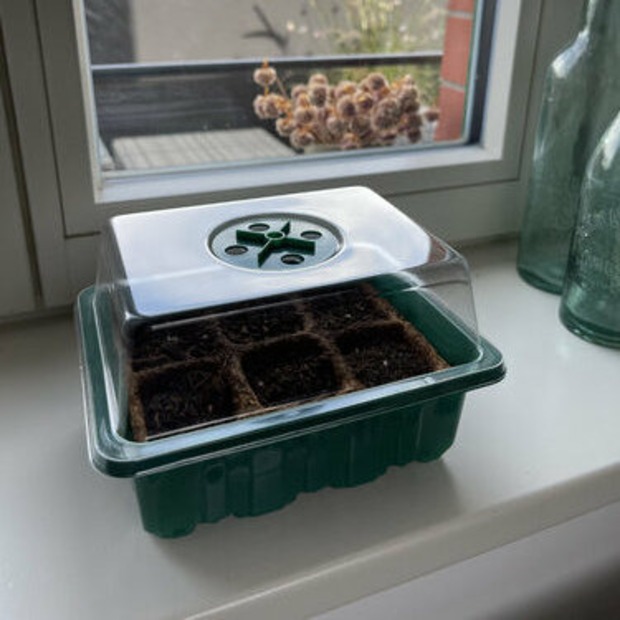 Anzuchtschale mit Deckel (Kunststoff)