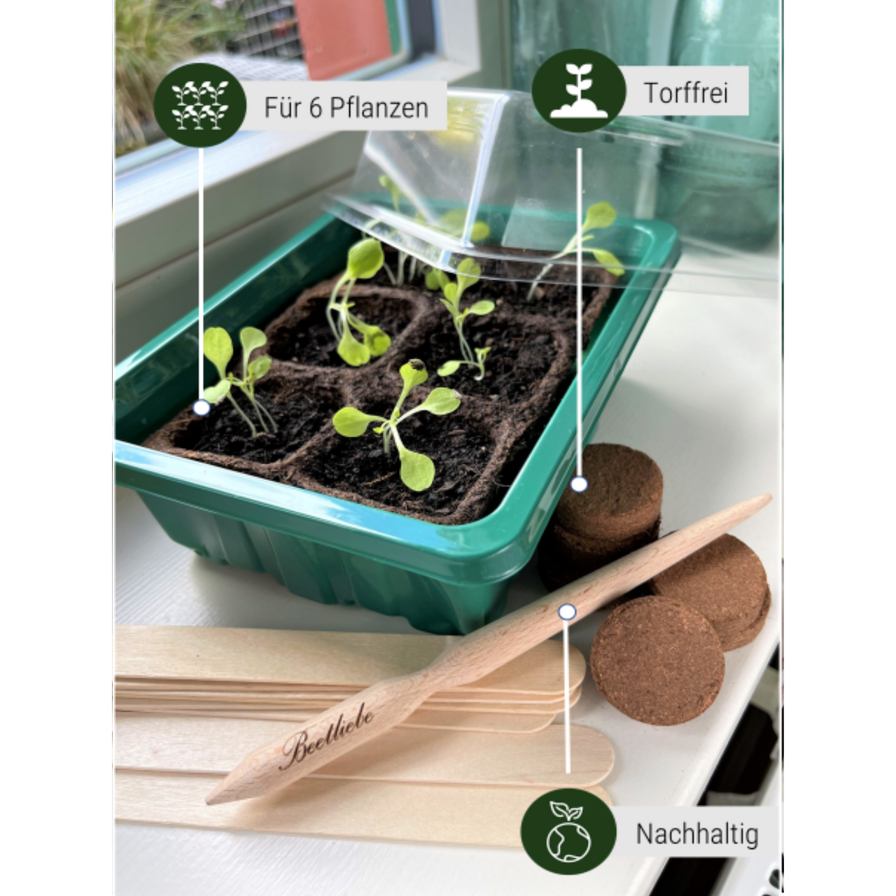 Anzuchtschalen Set [Kunststoff] & Pikierstab aus Holz